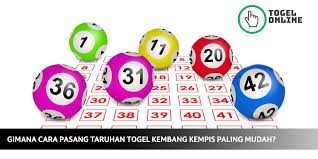 togel pemula